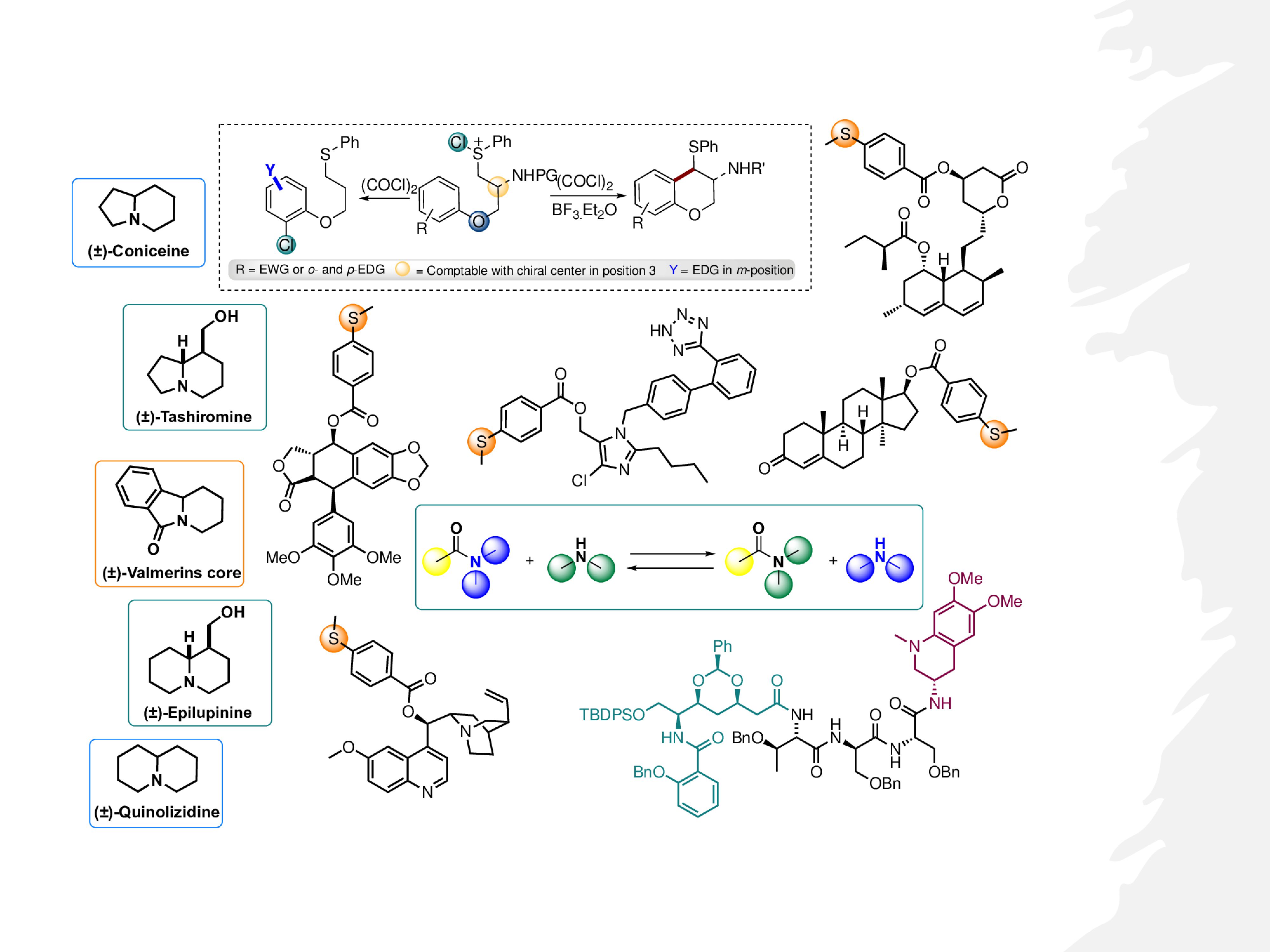 Laboratory of Organic Synthesis Bio- and Organocatalysis